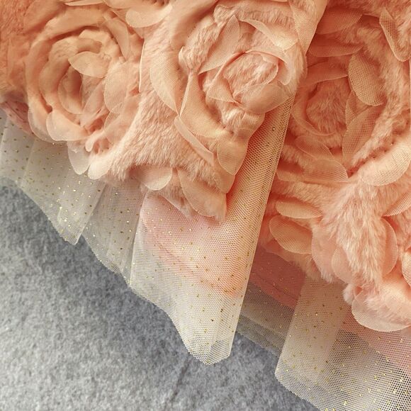 BlueBeri Boulevard Dress & Coat Set Little Girls Toddler 2T NWT Ballet Pink - Picture 6 of 8